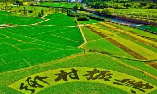 中國鄉村振興戰略發展分析及前景展望