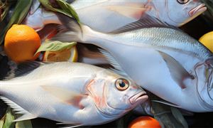 廣東省水產品行業產銷形勢及發展前景分析