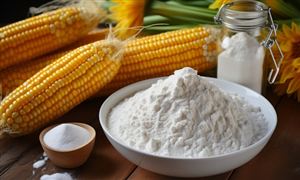 2024年中國玉米深加工行業(yè)市場發(fā)展現(xiàn)狀及發(fā)展趨勢分析