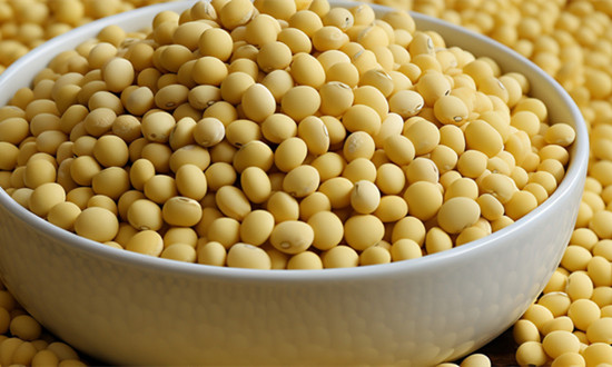 大豆種植面積穩步擴大 大豆種植行業發展前景分析報告