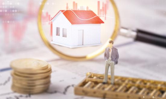 2024中國再擔保行業市場前瞻與未來投資戰略分析