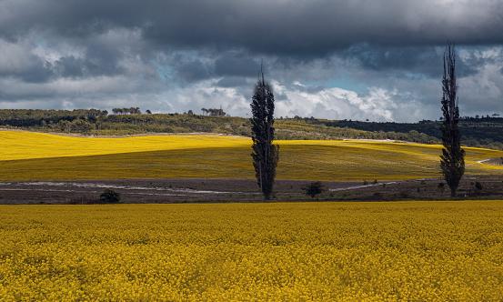 地質災害防治行業報告 我國“十四五”地質災害防治明確六大目標
