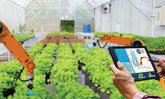 農(nóng)業(yè)信息化市場(chǎng)調(diào)研與發(fā)展面臨的問題：農(nóng)業(yè)數(shù)字化保持快速增長(zhǎng)態(tài)勢(shì)