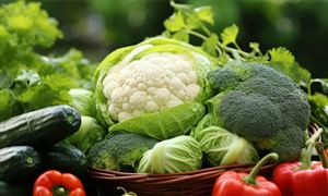 國內市場還有較大增長空間 凈菜加工行業發展前景研究分析