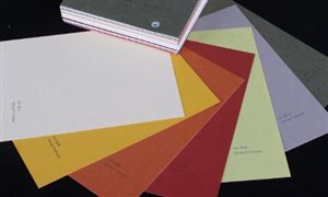 特種紙行業發展研究報告：推動鎮域經濟實現快速發展