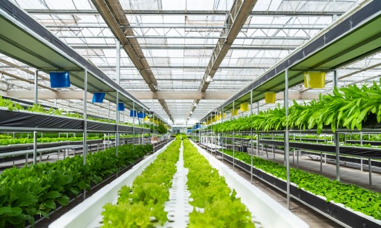 2024年中國農(nóng)業(yè)信息化行業(yè)市場發(fā)展現(xiàn)狀及重點(diǎn)企業(yè)