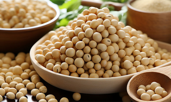 大豆蛋白行業市場現狀及空間分析：消費結構升級，規模和品質成為競爭的主要因素