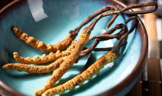 冬蟲夏草行業(yè)市場深度分析報告2024：中國冬蟲夏草的產(chǎn)量占世界的90%以上