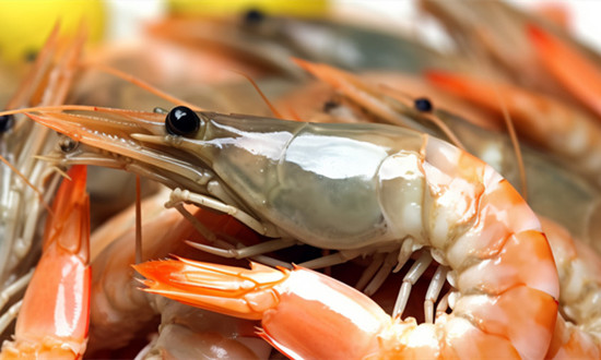 南美白對蝦行業(yè)市場需求、生產(chǎn)區(qū)域及面臨的挑戰(zhàn)分析