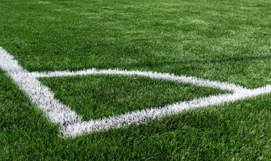 2024年人造草坪市場現狀及行業發展前景分析