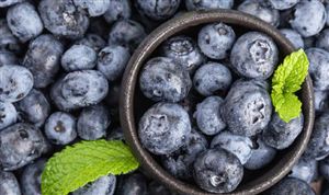 2024年藍莓行業市場深度分析 中國藍莓產業預計將在未來5年內成熟并整合