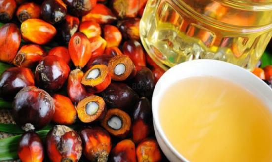 棕櫚油行情怎么樣？2024年中國棕櫚油進口量預測