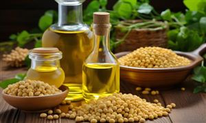 2024食用油行業進出口及未來發展方向、前景分析