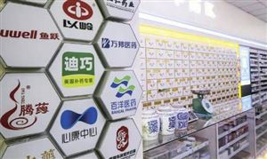 醫藥連鎖行業現狀調研與市場?投?資環境2024