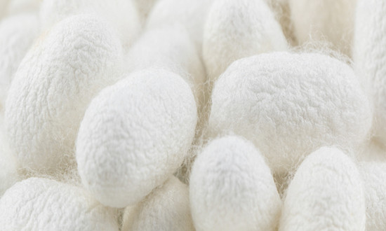 蠶絲被行業(yè)市場(chǎng)現(xiàn)狀及競(jìng)爭(zhēng)機(jī)遇分析