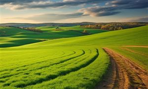 鄉村產業振興行業市場現狀及未來發展規劃2024