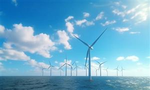 我國首個“海上風電+海洋牧場”全年上網電量將超10億千瓦時