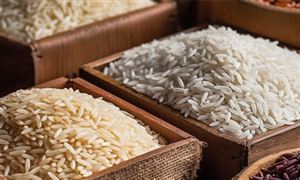 農(nóng)業(yè)農(nóng)村部：我國人均糧食占有量達到493公斤 糧食加工市場未來發(fā)展趨勢預測分析報告