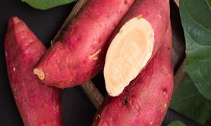 紅薯食品行業(yè)市場現(xiàn)狀及機遇分析