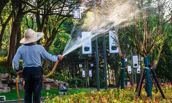 全國園林綠化覆蓋面積達到402.12萬公頃 園林養護行業深度研究分析