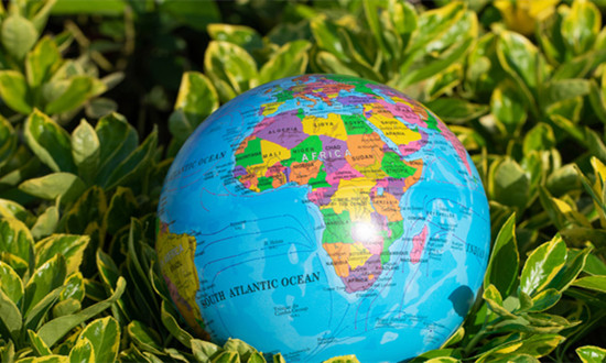 低碳經濟行業市場如何? 政府工作報告提出要大力發展低碳經濟