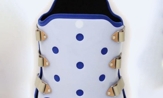 2024年中國成人脊柱矯形器行業(yè)的供需分析及重點(diǎn)企業(yè)