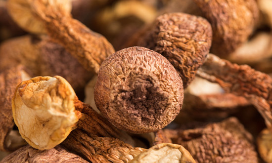 姬松茸市場發展潛力巨大 姬松茸種植行業發展前景分析