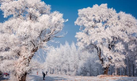 2024冰雪旅游行業發展前景調研：冰雪經濟走上可持續發展之路