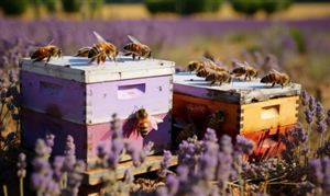 2024蜜蜂養(yǎng)殖產(chǎn)業(yè)鏈上下游發(fā)展現(xiàn)狀及前景分析