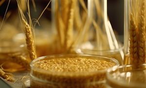 2024年農業生物技術行業產業鏈供需布局分析及發展前景