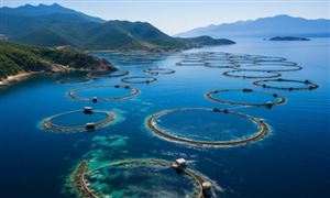 2024智慧海洋行業未來發展空間及機遇分析