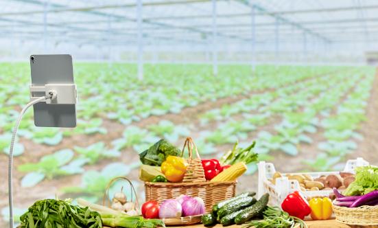 網絡直播行業市場前瞻：商業模式的創新將成為行業發展的重要方向