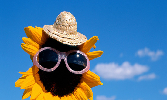 花店行業現狀及機遇深度調研分析