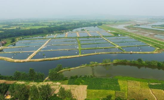 水產養殖行業深度分析 未來有望逐步實現節能減排和可持續發展