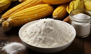 2024玉米淀粉市場發展現狀及供需格局、前瞻分析