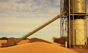 烘干機行業行業市場未來進出口趨勢預測2024