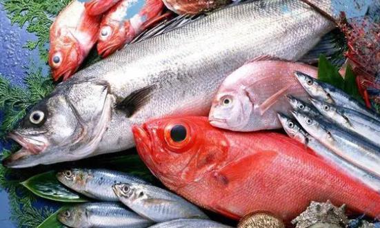 2024海鮮市場發展現狀分析及市場機遇：湖北潛江小龍蝦值得期待