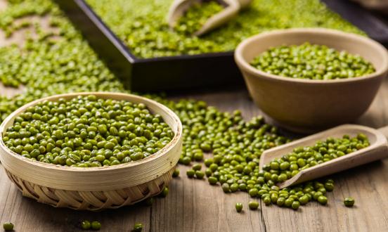 綠豆行業市場發展現狀及供需格局、需求趨勢分析2024