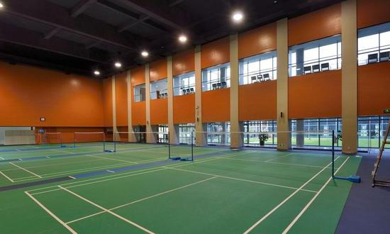 中國(guó)羽毛球館行業(yè)規(guī)模情況分析與前景研究