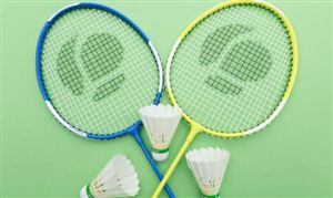 中國羽毛球行業(yè)總體規(guī)模分析 羽毛球行業(yè)未來發(fā)展分析2024