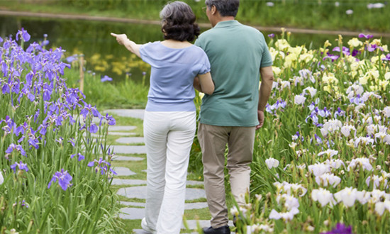 “銀發族”為何熱衷跨城養老? 旅居養老行業市場深度分析