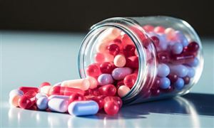 2024益生菌行業市場現狀及供需趨勢調查分析