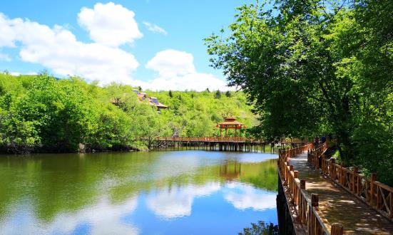 森林公園行業發展機遇與未來趨勢：實現森林旅游產業向高質量發展