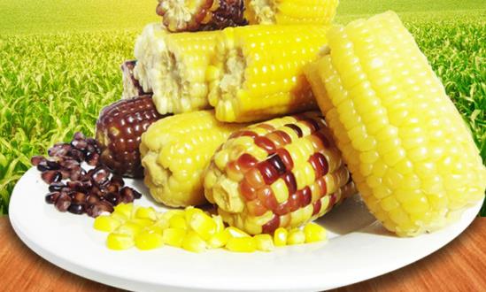 2024鮮食玉米行業市場深度分析：甜玉米基地面積不斷擴大