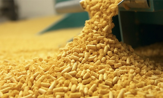 飼料單機設備行業市場分析報告2024