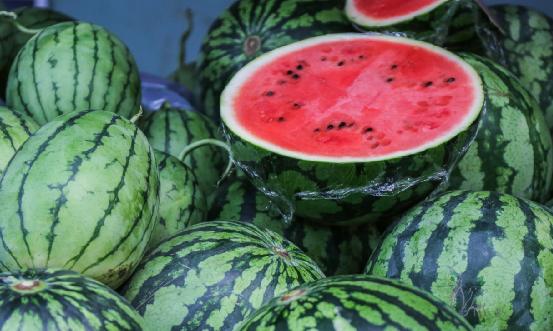 西瓜種植情況深度調(diào)研2024