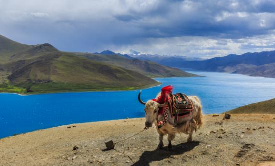 生態(tài)旅游行業(yè)市場分析 生態(tài)旅游市場規(guī)模將持續(xù)擴大