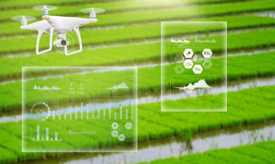 2024年智慧農業產業：現存產業規模較小，市場空缺較大