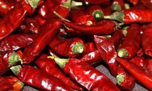 2024辣椒產業經濟效益及辣椒種植成本利潤市場分析