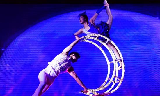 2024雜技行業市場現狀及前景預測